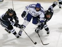 FB体育-铁血76人踏平雄鹿，德罗赞连续得分拉开差距