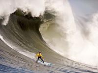 FB体育-欧冠决赛焦点战启示录，从开拓者连续得分压制公牛看现代竞技的压制哲学