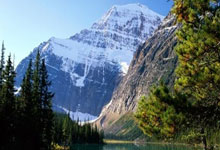 FB体育娱乐-狂热火焰！巴特勒引领团队无敌